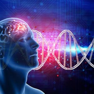 Perfil Kryptopyrroles